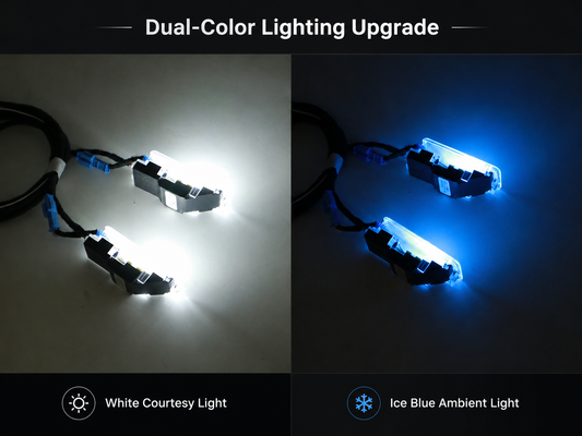 OEM-Style Dual-Color Footwell Lighting Retrofit Kit for Peugeot Citroën DS BSI 2010